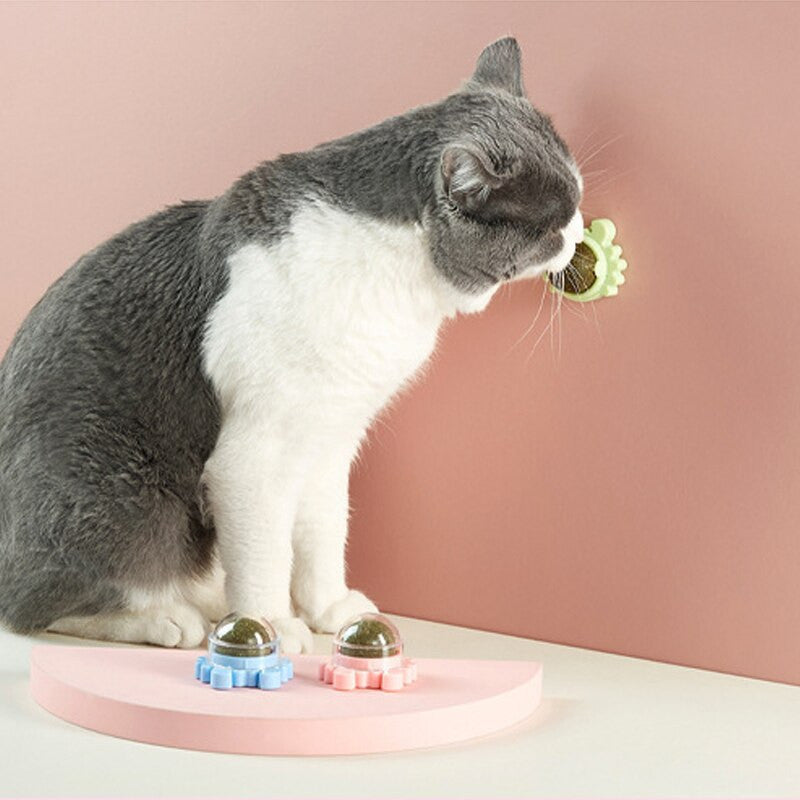 Menta para gato
