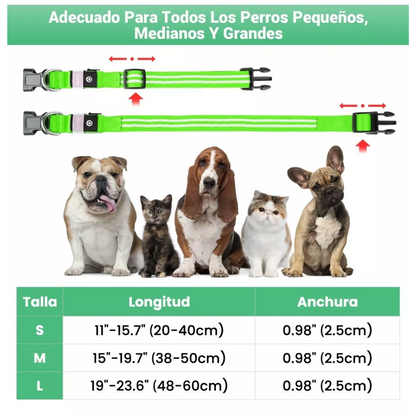 Collares Para Perros Reflectante Correa
